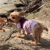 bunblurry